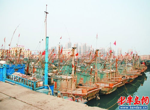 胶南积米崖港区驻地路灯全部更换为LED灯