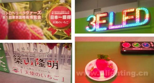 全球日照数减少 推升LED照明市场需求