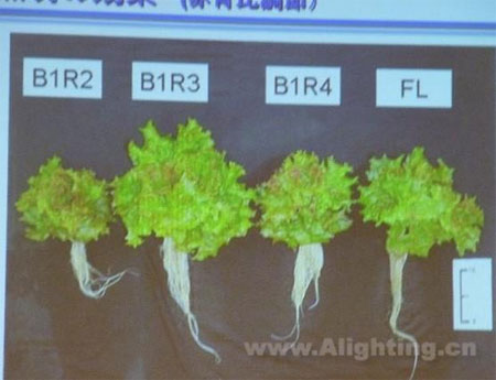 全球日照数减少 推升LED照明市场需求