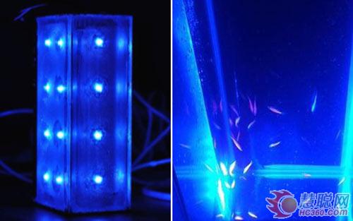 柏狮光电力助高校创“大学生挑战杯”佳绩