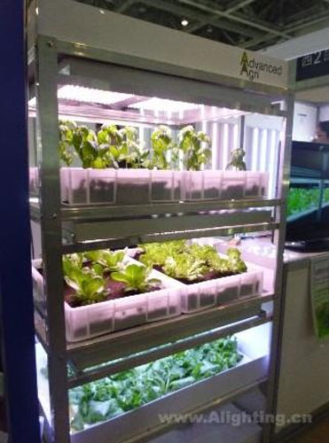 全球日照数减少 推升LED照明市场需求