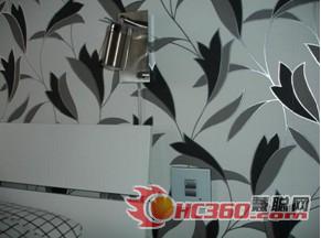 HDL智能化产品在西欧的发展与应用