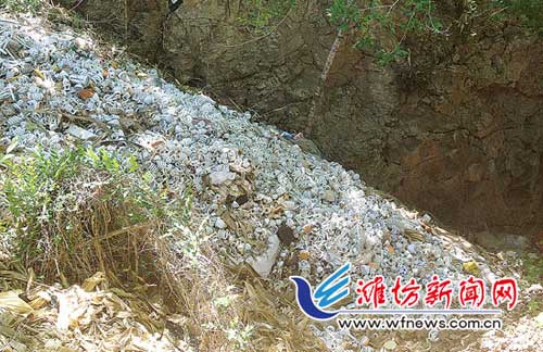 潍坊一村沟现大量废旧节能灯村民担心污染