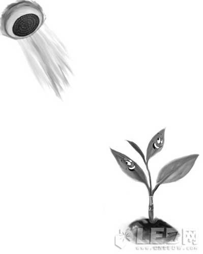 蔬菜大棚变车间 LED光促植物生长