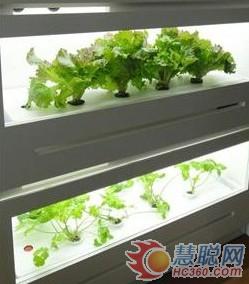 日本“LED菜园子”成新商机 各行业加紧布局