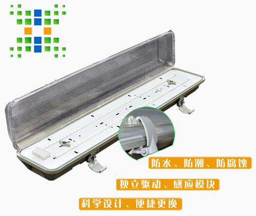中祥创新微波感应三防LED灯强势出击