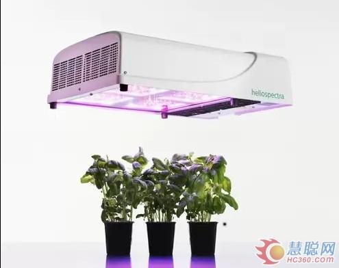 农业照明新成果 德国发布新LED照明系统