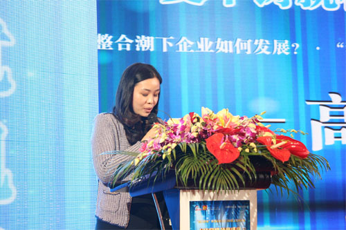 2013年LED屏高峰论坛：专家企业领导把脉行业发展