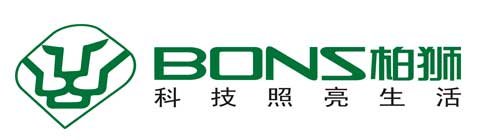 柏狮获得“强力巨彩”杯LED 封装十佳品牌