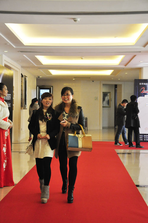 2013年度LED屏行业十佳颁奖红毯秀