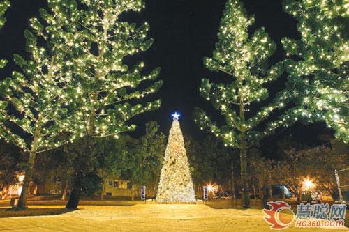 台湾灯会6万颗LED灯  打造“黄金祈福树”