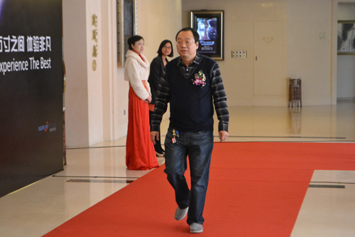 2013年度LED屏行业十佳颁奖红毯秀