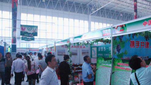 易事达高端LED大屏闪耀中国饶阳第二届蔬菜葡萄节