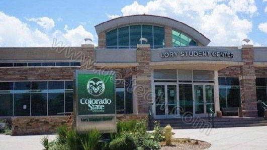 山东菏泽四胞胎同上一所大学  看高校LED屏工程案例