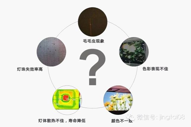 小身体大能量 解密晶台股份“蜂鸟”系列1010