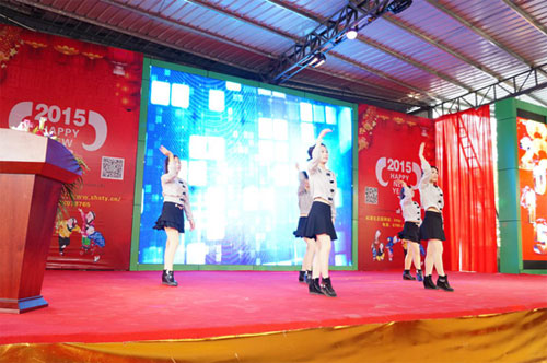 LED屏企业齐普光电2015年羊年联欢晚会圆满落幕