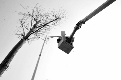 沈阳市“任性”开装WIFI LED路灯