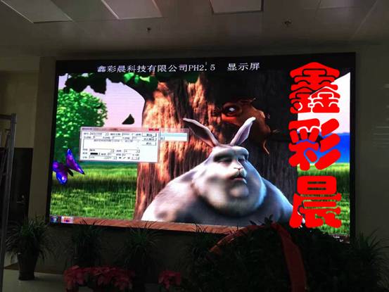 张家口市政府采用鑫彩晨p2.5全彩led显示屏