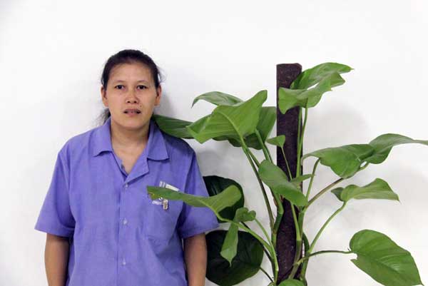 LED企业人物志：中国LED第一线长——汪小玲