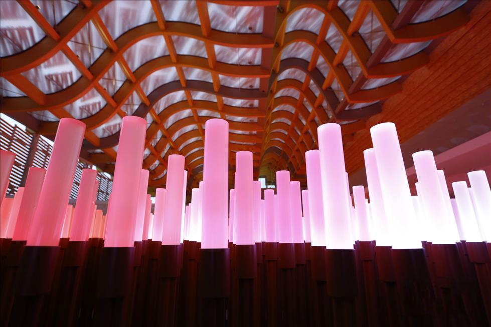 创显光电点亮米兰世博中国馆 LED麦穗屏铺就“希望的田野”