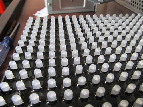 逼入窘途却芳华尽显 金华光以严谨演绎极致