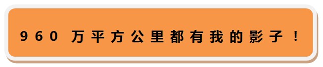 强力巨彩P10单色条屏仅899！再掀LED显示屏DIY狂潮