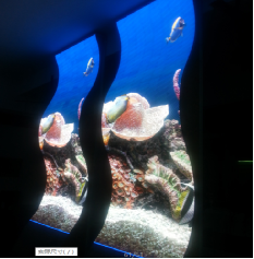 COB封装不断挑战户外小间距新极限 突破户外P2.0蓄势待发