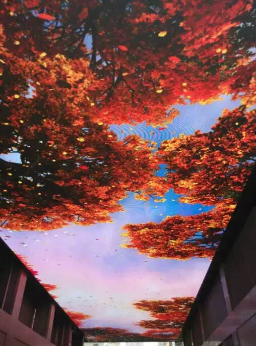 大型天幕屏项目落户郑州 艾比森“将专业进行到底”