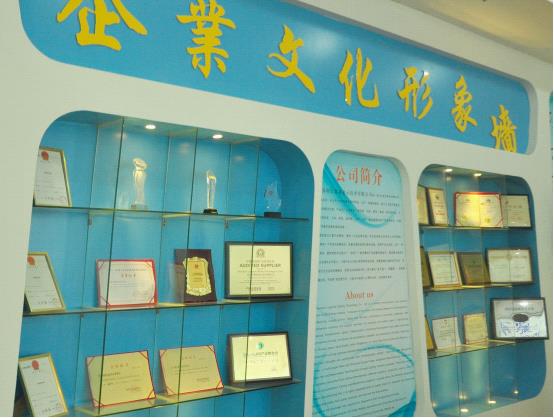 雷凌显示:雷厉风行的“领舞”者 用行动创造“光”彩