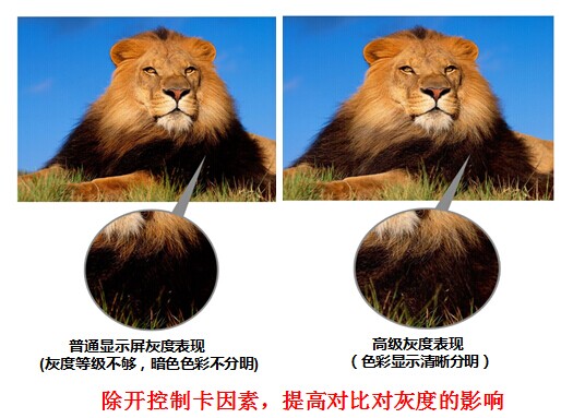 强力巨彩“黑龙”T系列的黑白之选