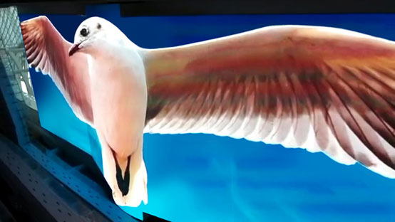 立翔慧科缔造“中国室内购物中心最大的穹顶式LED天幕”