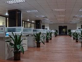 威特姆：创意筑梦 深耕软屏市场