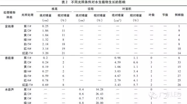 沿海沿河有商机！LED可加速水生动植物生长