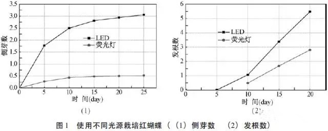 沿海沿河有商机！LED可加速水生动植物生长