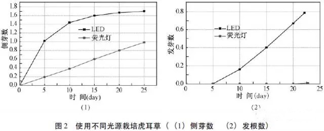 沿海沿河有商机！LED可加速水生动植物生长