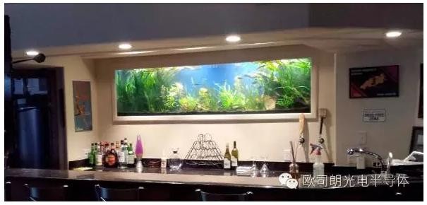 欧司朗助力为珊瑚礁水族馆打造顶级LED照明环境