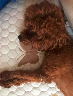 什么样的灯光才最适合北京瘫？