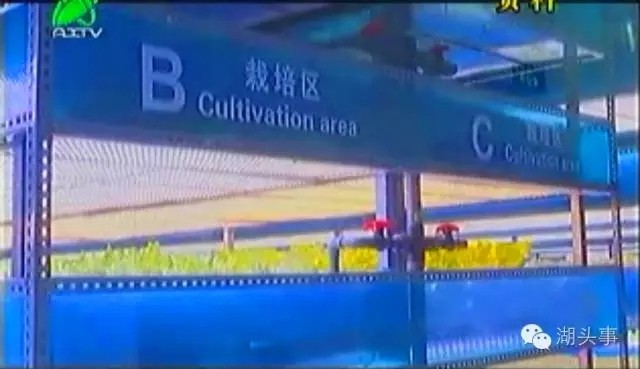 三安集团LED植物照明工厂项目本月底投产