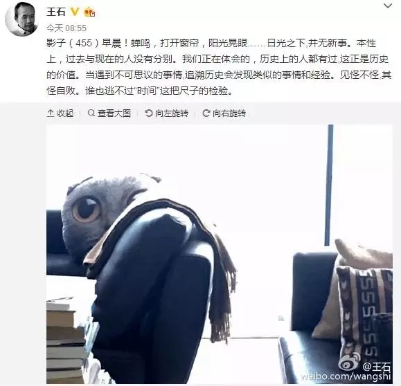 LED圈如何评论“王石谢幕出局”事件？