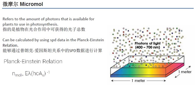 科锐宣布推出针对植物照明优化的XQ-E Photo Red LED