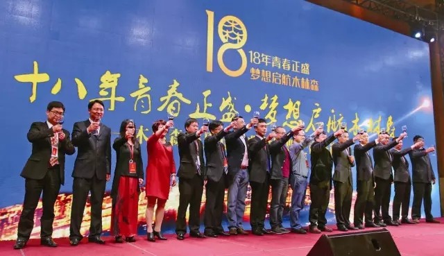 解码木林森：如何从“价格屠夫”成可怕的对手？