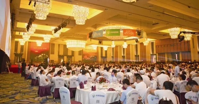 解码木林森：如何从“价格屠夫”成可怕的对手？