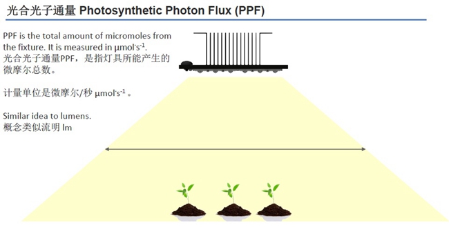 科锐宣布推出针对植物照明优化的XQ-E Photo Red LED