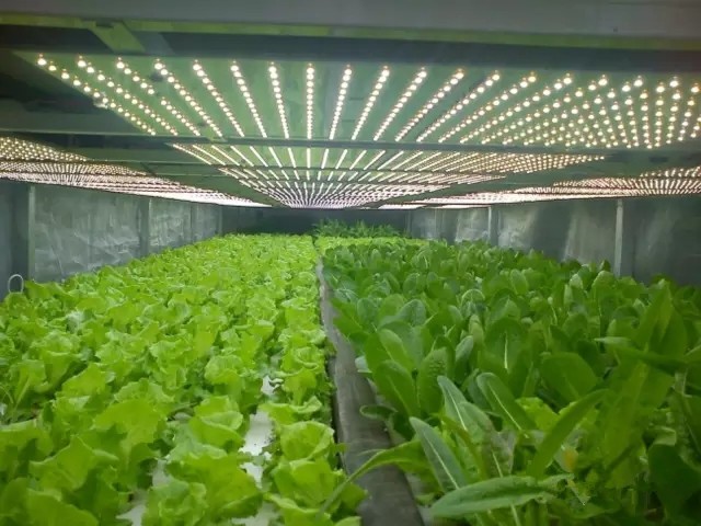 逃离OR进发？国际照明巨头战略大调整！
