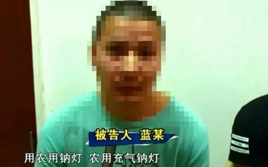 LED“误入歧途” 他们用LED灯种大麻！