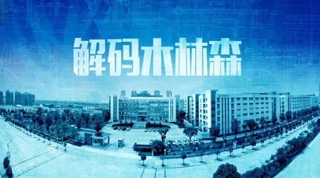 解码木林森：如何从“价格屠夫”成可怕的对手？