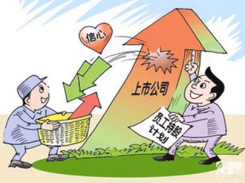 实行员工持股计划的LED上市公司