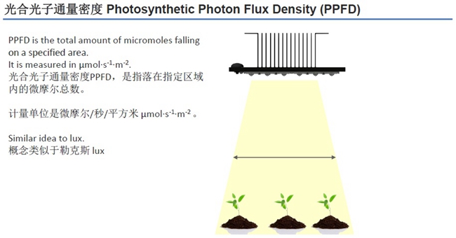 科锐宣布推出针对植物照明优化的XQ-E Photo Red LED