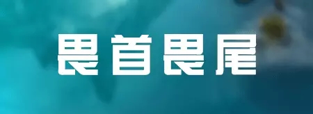 LED人士必看：七种公司做不大 十种老板难成功
