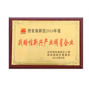 2015年度LED屏行业品牌盛会十佳品牌回顾之诺瓦